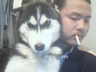 最爱小哈的头像