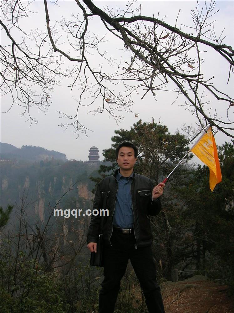 龙凤飞舞的头像