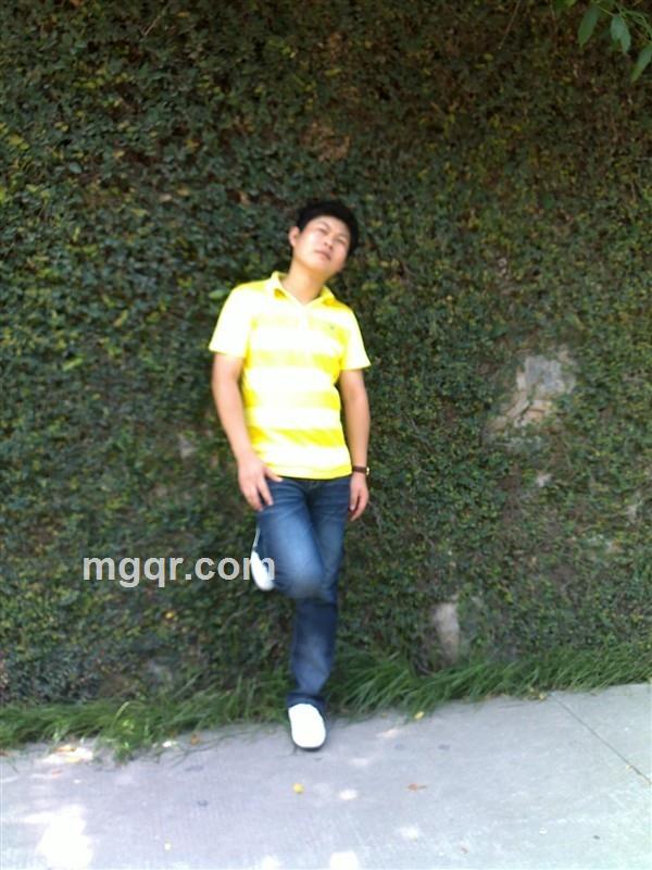 最美丽的百合花的头像