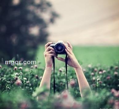 相顾无言的头像