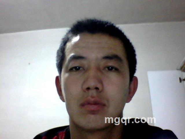 飞不了的鸽子的头像