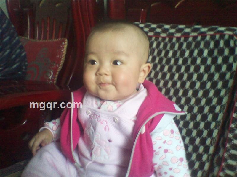 东风破郎的头像