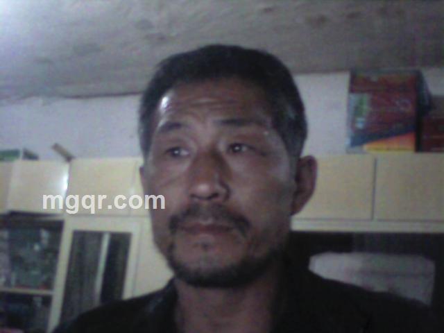 为爱狂奔的头像