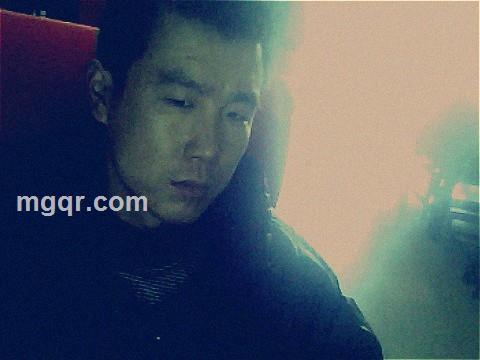 带着孩子的狼的头像