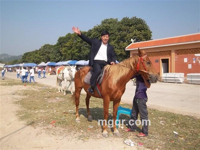 留金岁月的头像