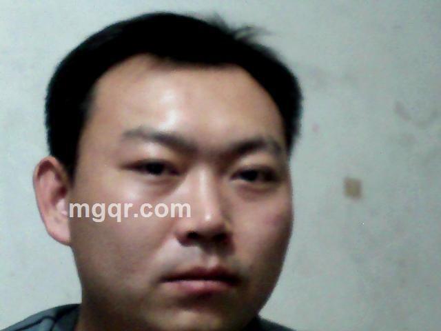 东莞野狼的头像