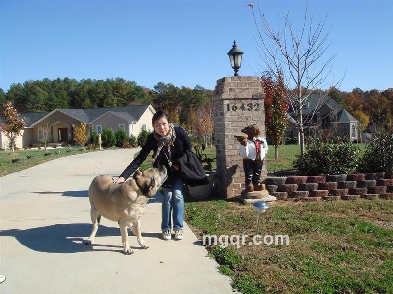 诚意换真诚找知己的头像