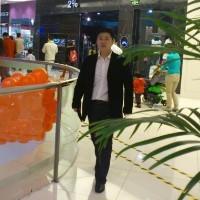 漫步网海的头像