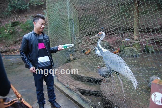 v1叫花子的头像