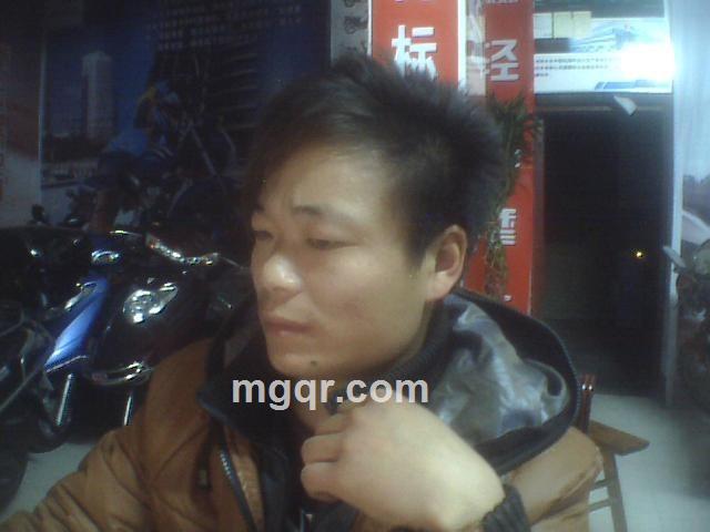 为了情人才来的头像