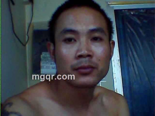 会飞的毛驴的头像