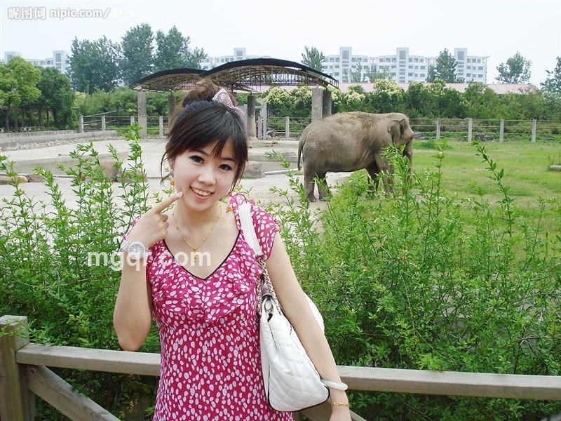 小妖精967的头像