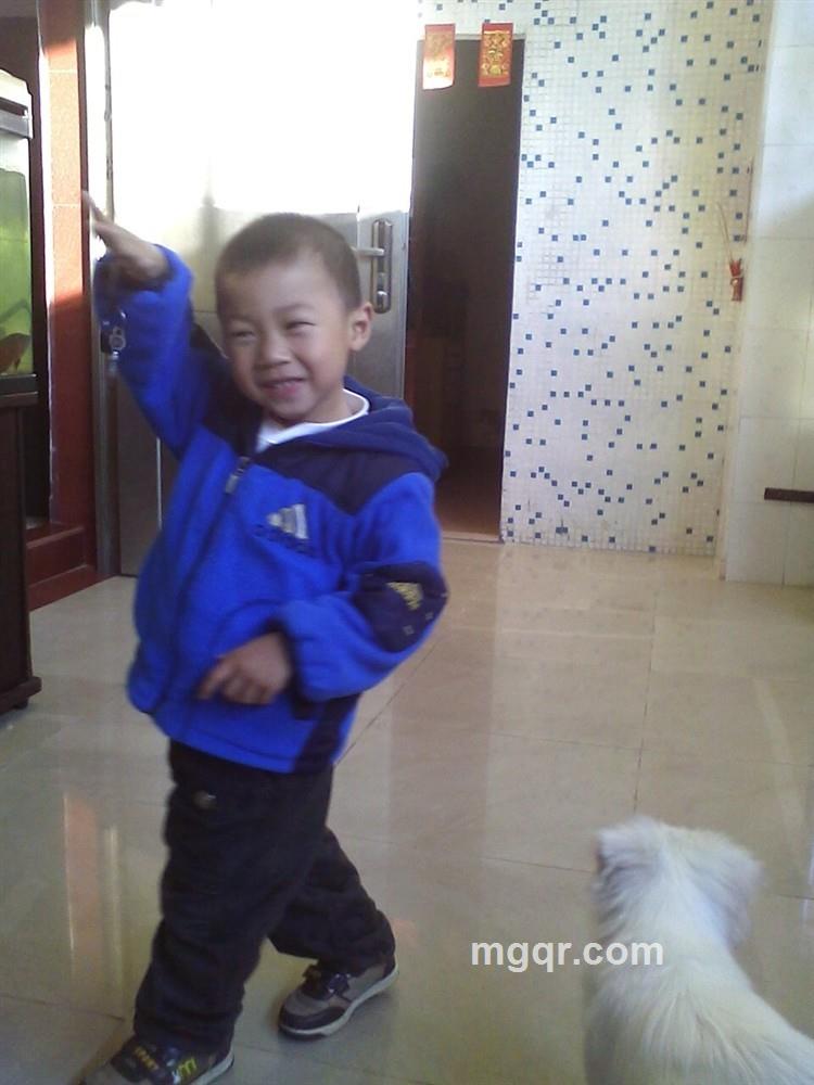 心儿冰冷的头像