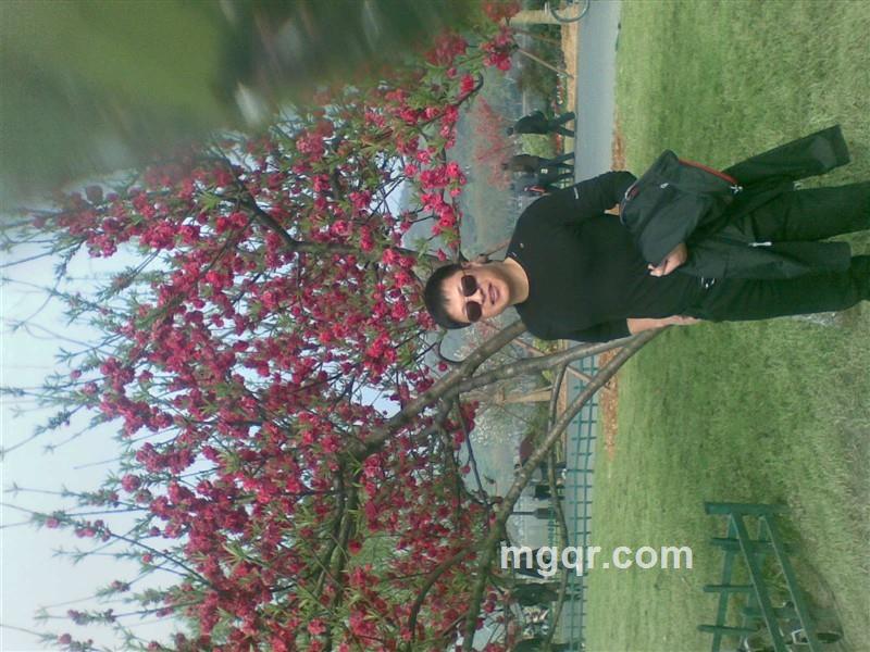 江南楠楠的头像