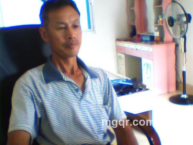 绿叶迎风的头像