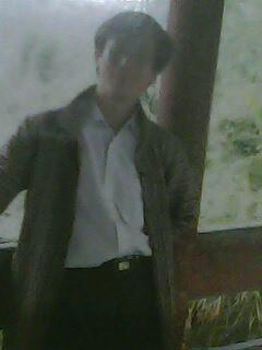 杨柳轻轻123的头像