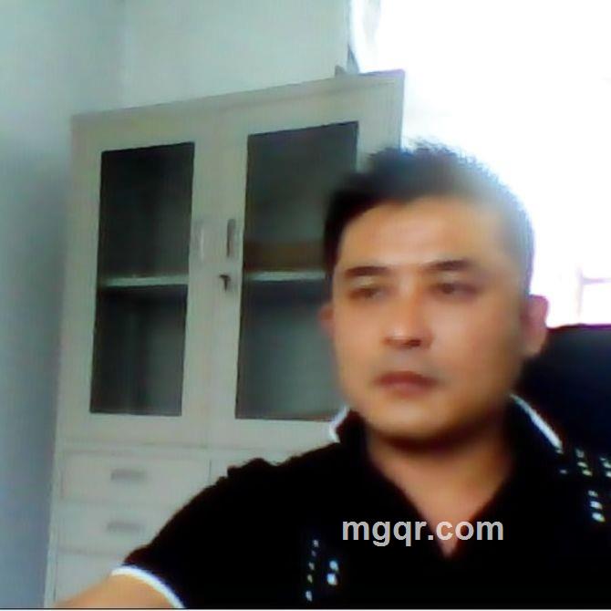 飞翔的蜥蜴的头像