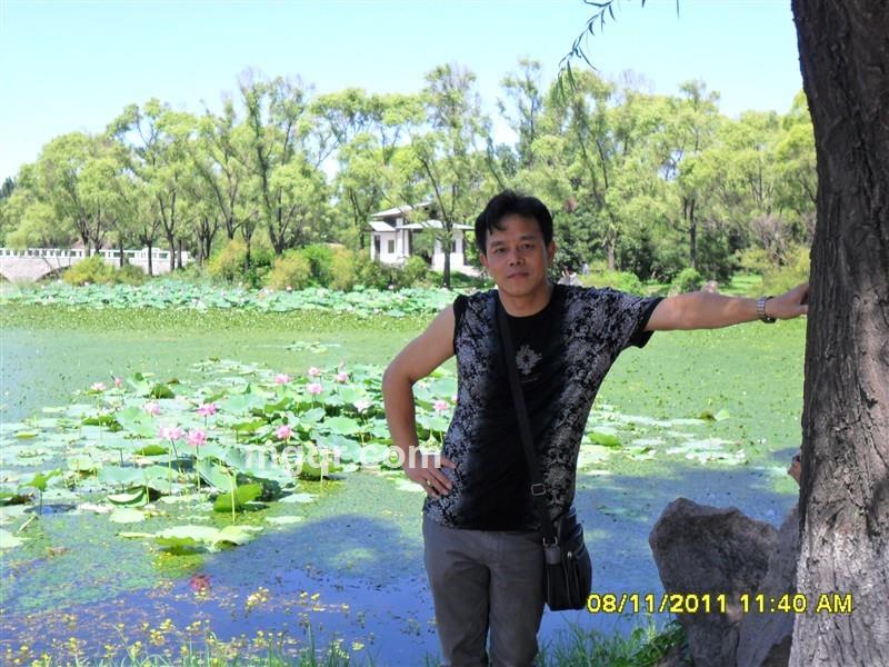 北极蓝莓的头像