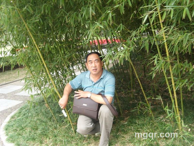 缘来了是福的头像