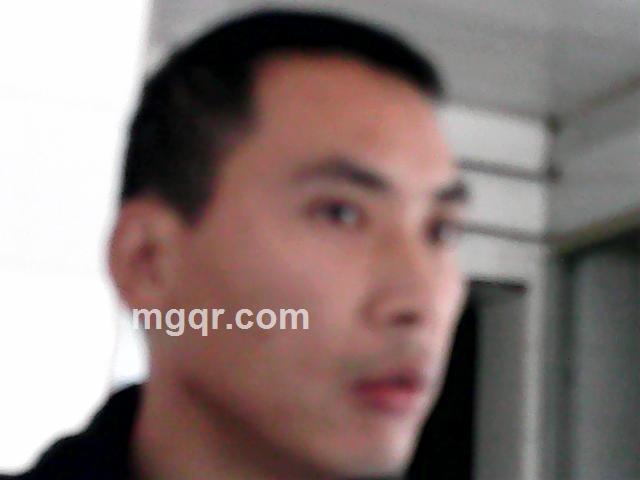 石上草的头像