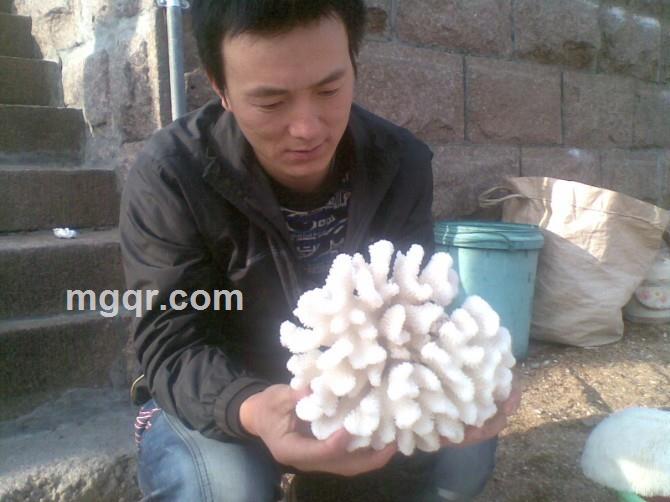 【平凡无奇】的头像