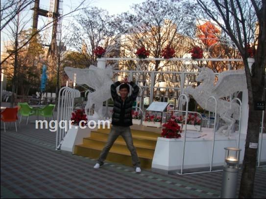 随风而来,随风而去的头像