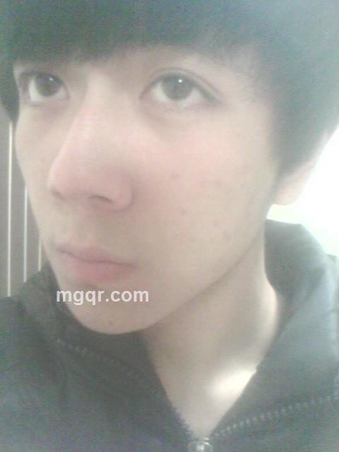 帅气利索的狼的头像