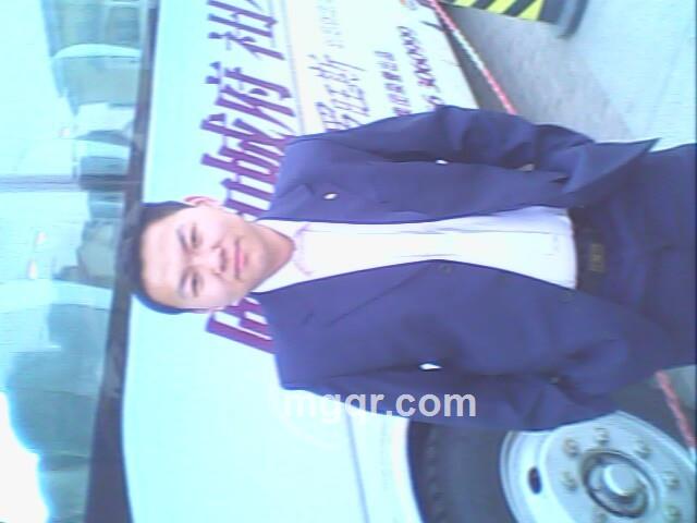 迟来的问候的头像