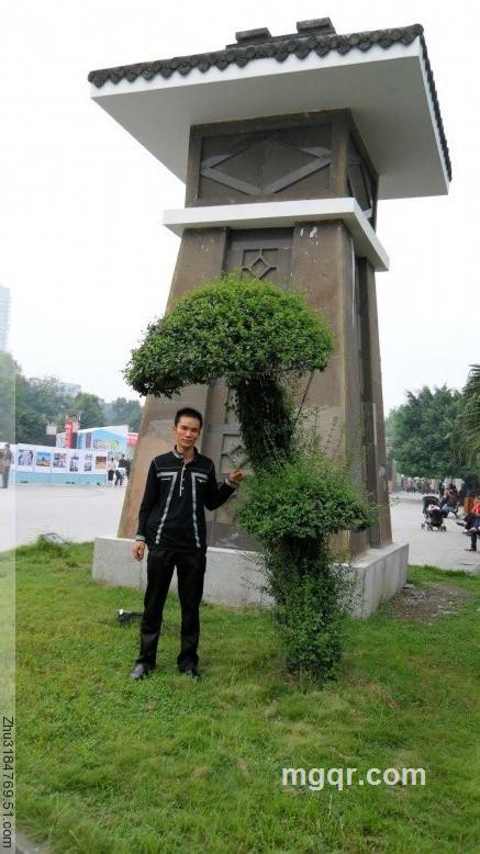 咖啡Ъǔ伽餹的头像