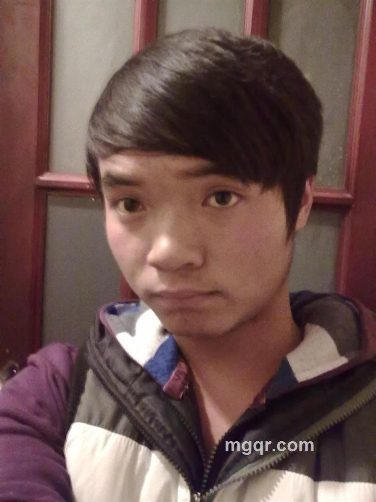 哭泣的猪的头像