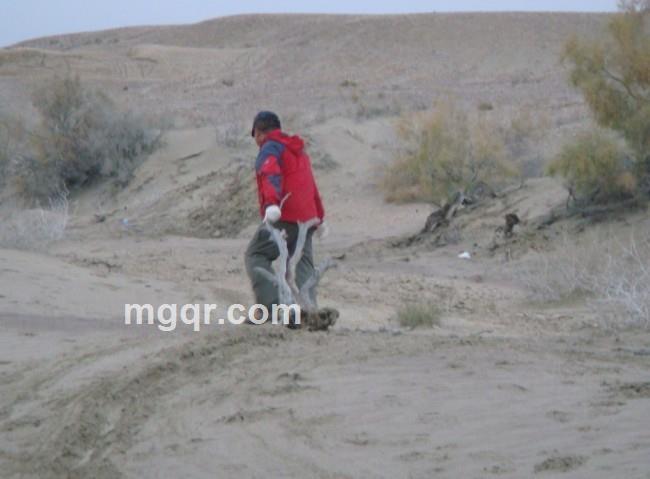 神秘的建筑的头像