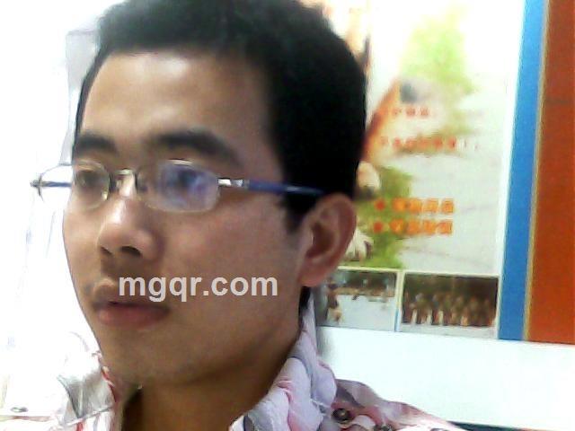 一棵常青树的头像