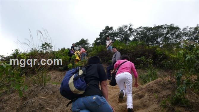 孤雁的心的头像