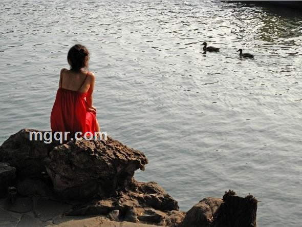 单纯的魅力的头像