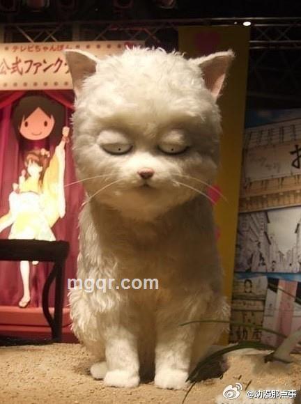 不爱早起的头像