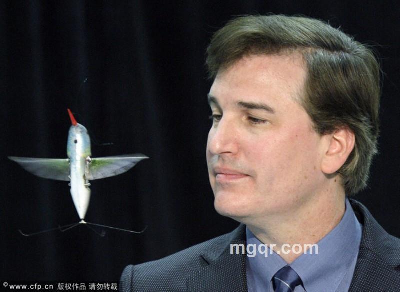 sailorinwind的头像