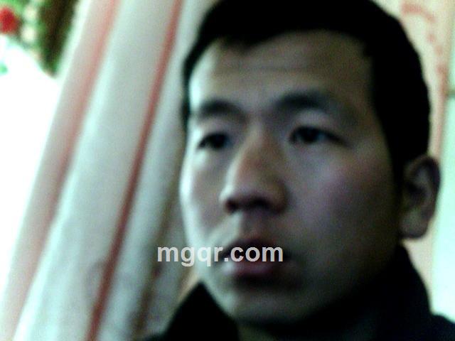 爱的大树的头像