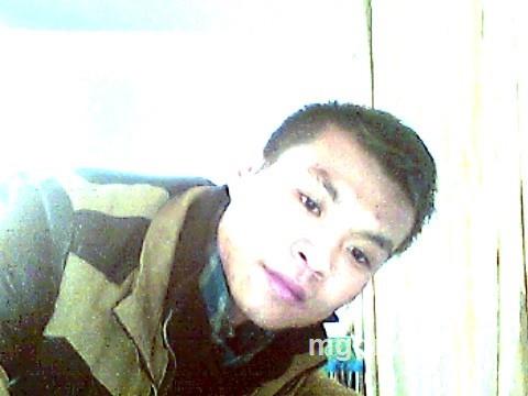 问天神鹰的头像