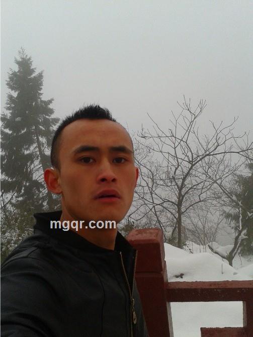 小鳥也会愤怒的头像