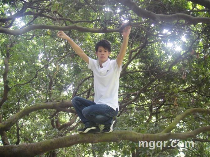 897肆壹壹10的头像