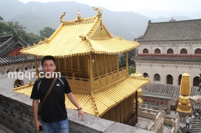 骑蚂蚁闯红灯的头像