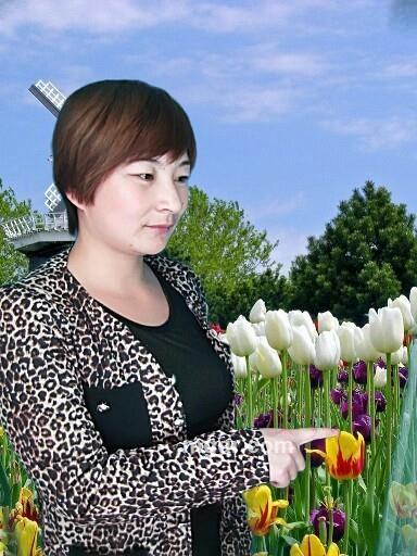 梦想的浪漫的头像