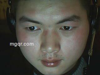 午夜一条狼的头像