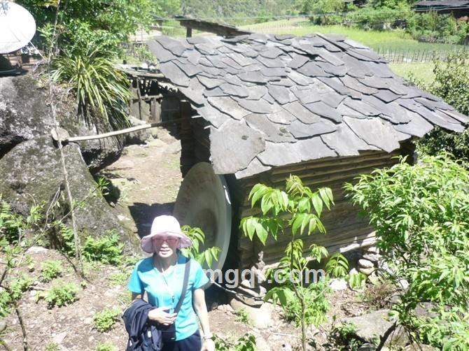 毛毛虫502的头像