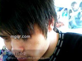 爱往往会走的头像