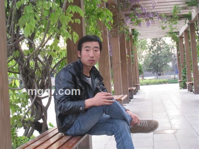 三夜的林边的头像