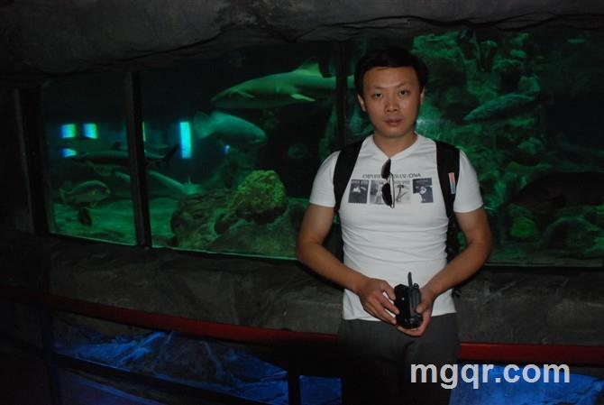 深情诺曼底的头像