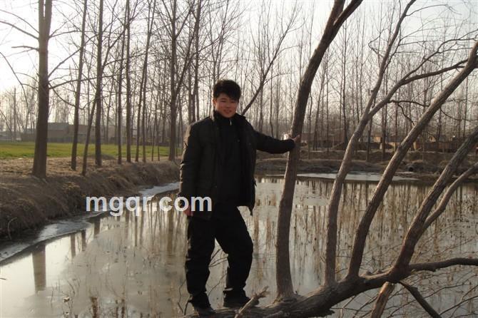 小强在等你的头像