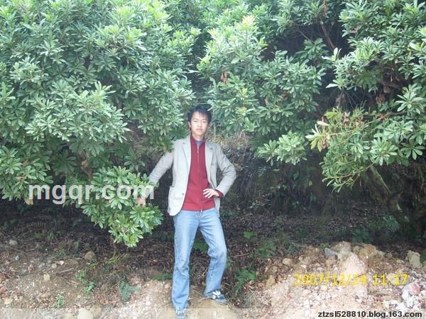 生命律动的头像