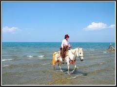 灿烂阳光204的头像